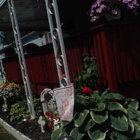 Hidden Valley Estates ico