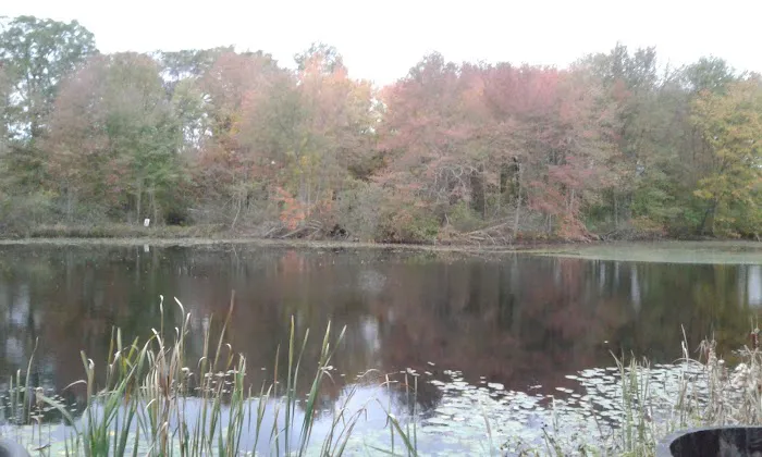 Sunny Waters Mobile Home Park Picture 6