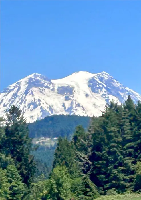 Alder Lake Campground Picture 1