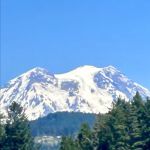 Alder Lake Campground