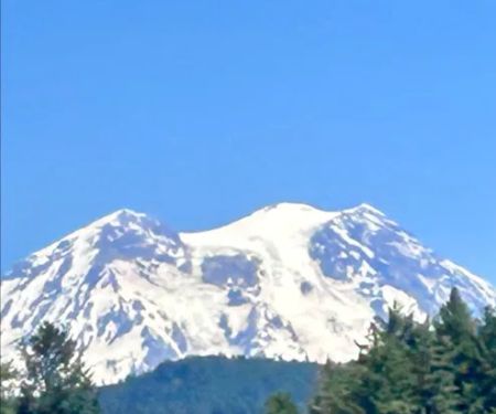 Alder Lake Campground