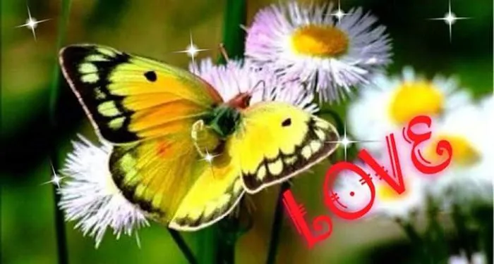 Pleasure Valley Park Picture 5