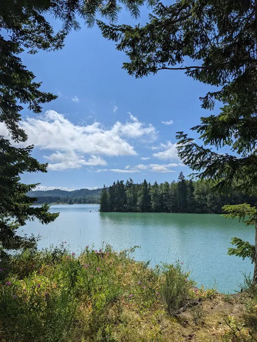 Oakland Heights Picture 4