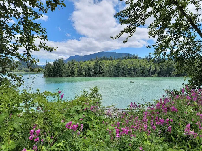 Oakland Heights Picture 5