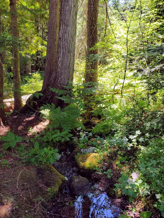 Chatter Creek Campground Picture 5