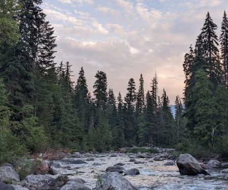 Upper Johnny Creek Campground