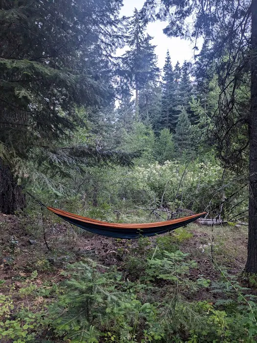 Upper Johnny Creek Campground Picture 6