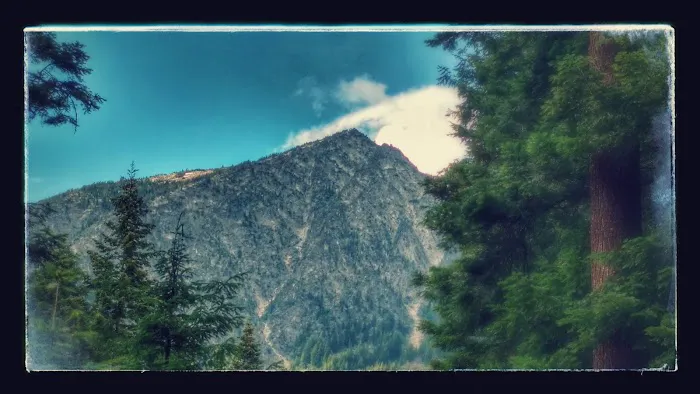 Upper Johnny Creek Campground Picture 4