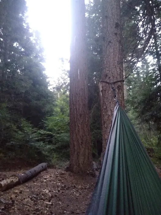 Upper Johnny Creek Campground Picture 3