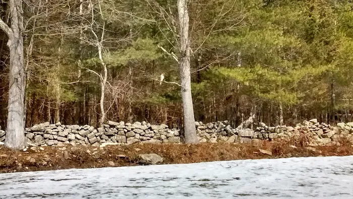 Laurel Heights Picture 7