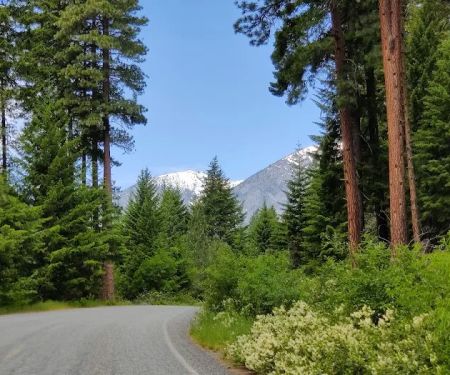 Bridge Creek Group Site