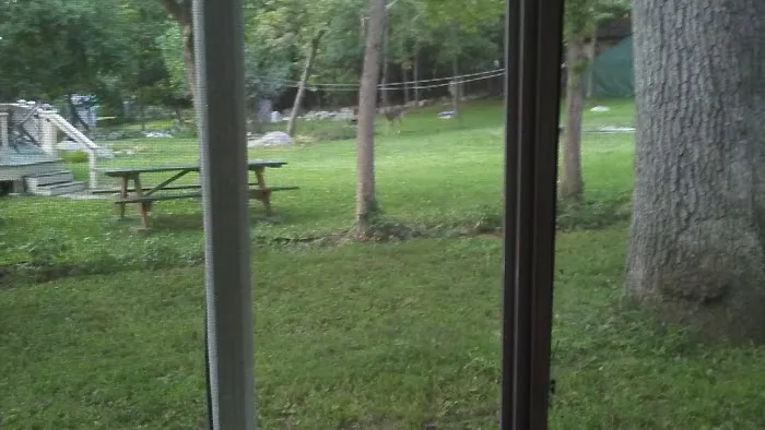 Marina Cove Picture 3