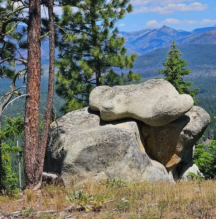 Teanaway Campground Picture 1
