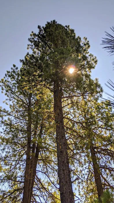 Teanaway Campground Picture 9