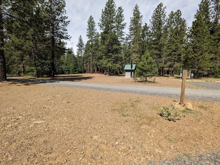 Teanaway Campground Picture 6