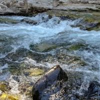 Twentynine Pines Campground ico