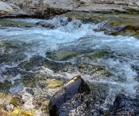 Twentynine Pines Campground