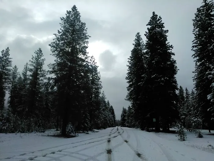 Twentynine Pines Campground Picture 6