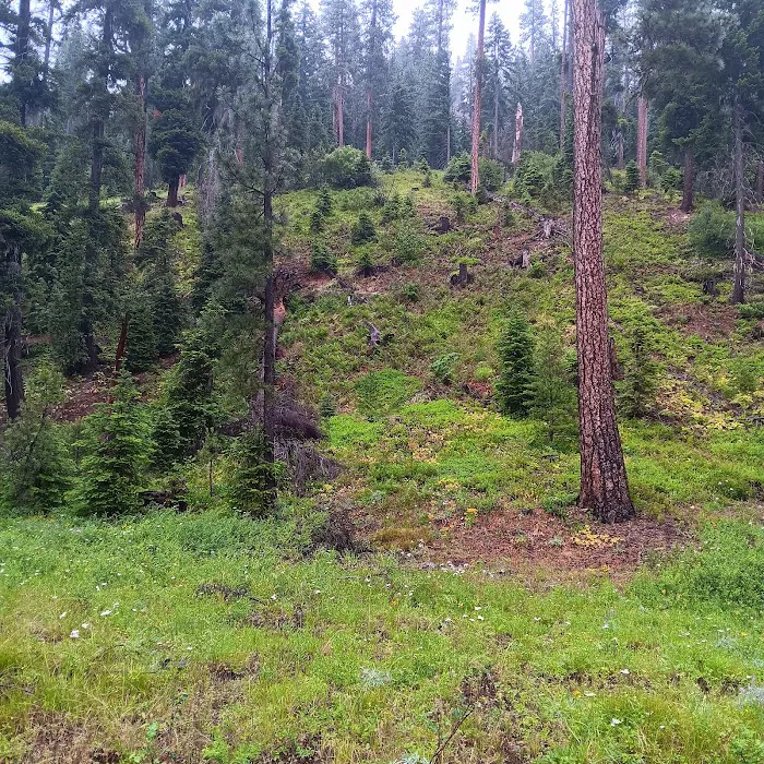 Beverly Campground Picture 2