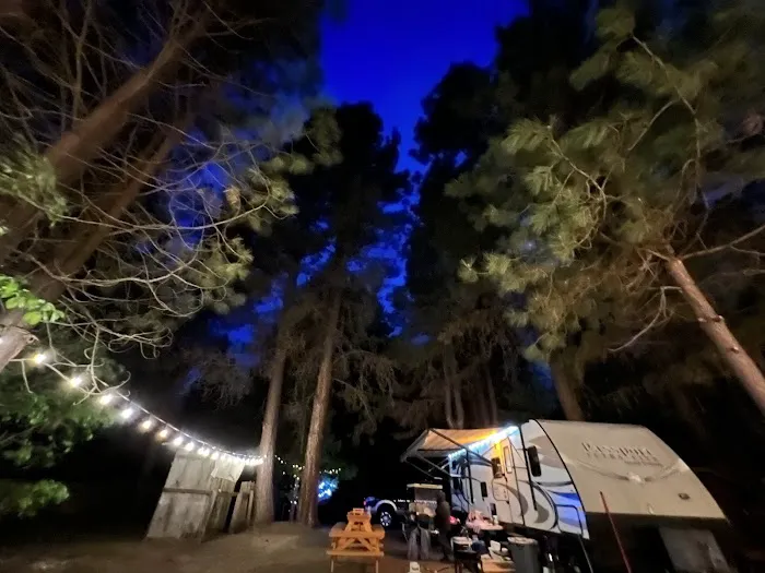 Mountain River Trails Camping Picture 2