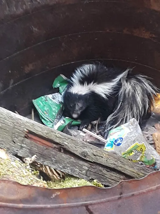 Mountain River Trails Camping Picture 8