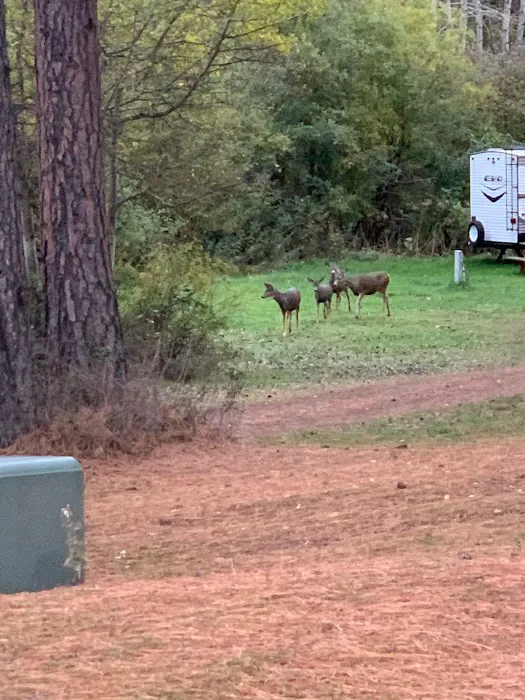 Eagle Valley Campground Picture 6