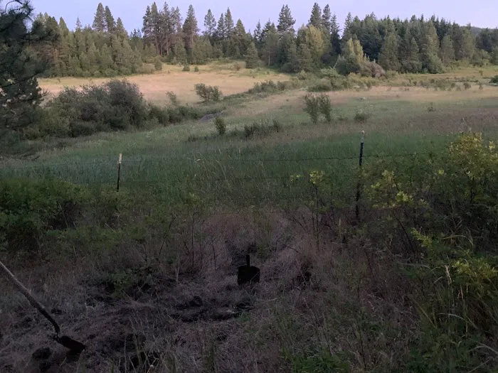 Eagle Valley Campground Picture 3
