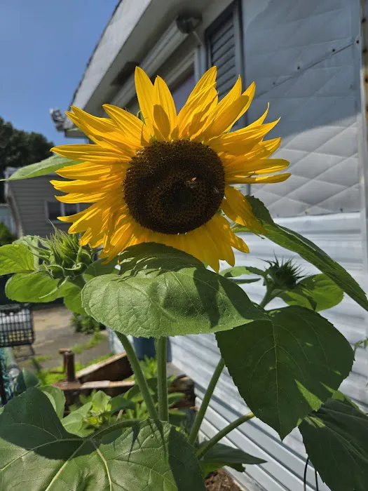 Westover MHC Picture 3