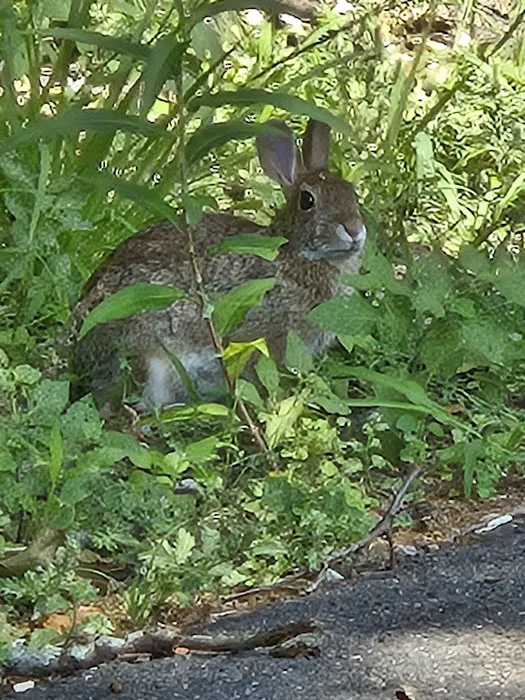 Westover MHC Picture 5