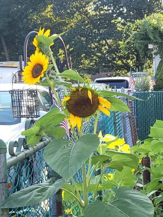 Westover MHC Picture 2