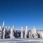 Quartz Mountain Camping Area