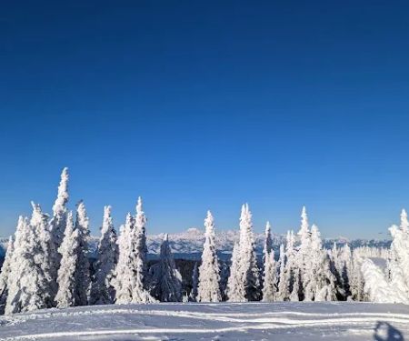 Quartz Mountain Camping Area