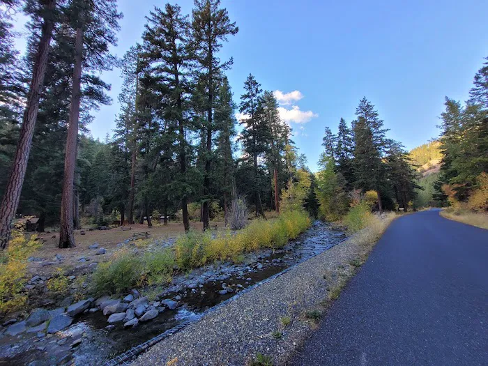 Taneum Junction Campground Picture 5