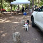 Icewater Creek Campground