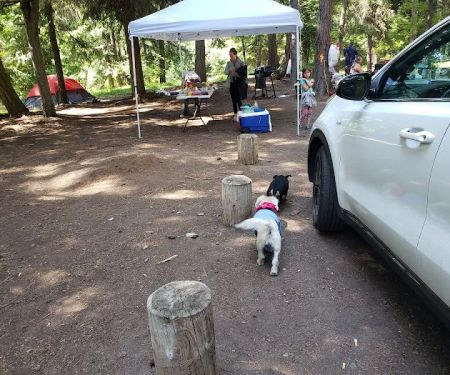 Icewater Creek Campground