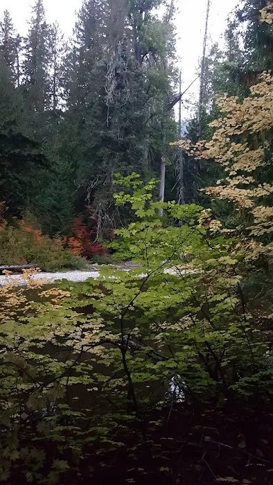Rainy Creek Campground Picture 7