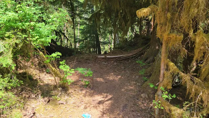 Esswine Group Camp Picture 9