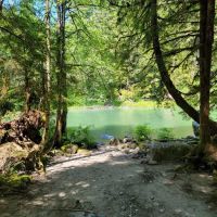 Wiley Creek Group Camp ico