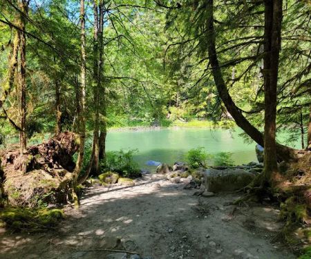 Wiley Creek Group Camp