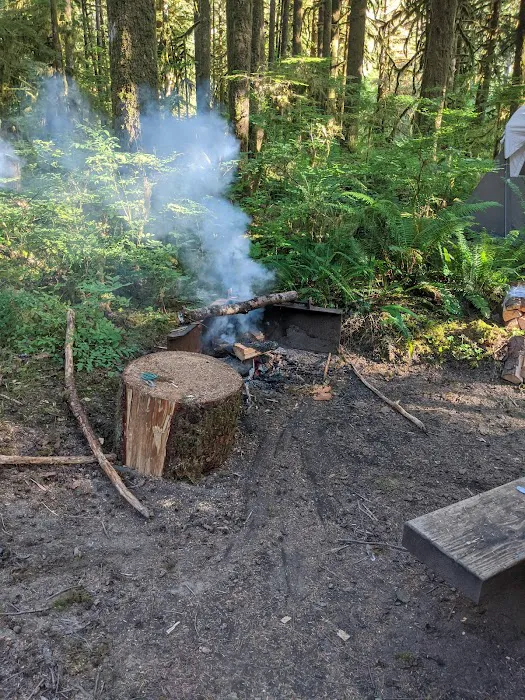 Gold Basin Campground Picture 4