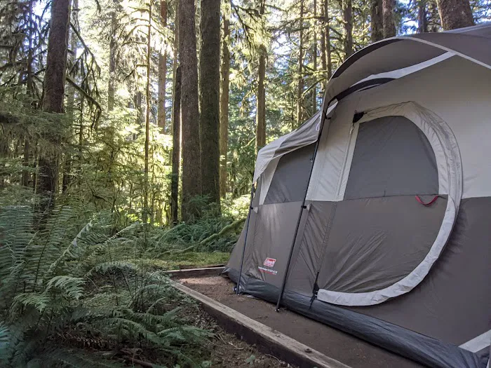 Gold Basin Campground Picture 2