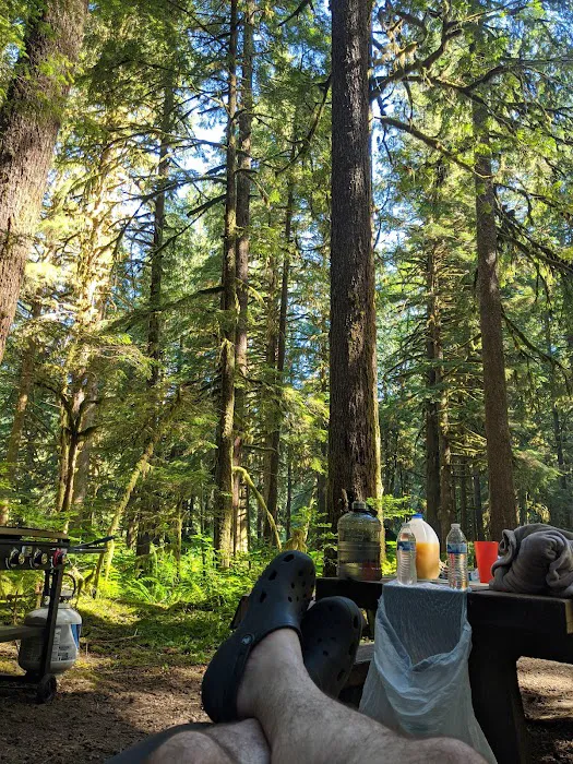 Gold Basin Campground Picture 9