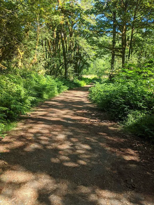 Gold Basin Campground Picture 5