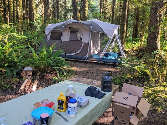 Gold Basin Campground Picture 6