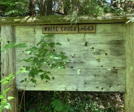 Owl Creek Campground