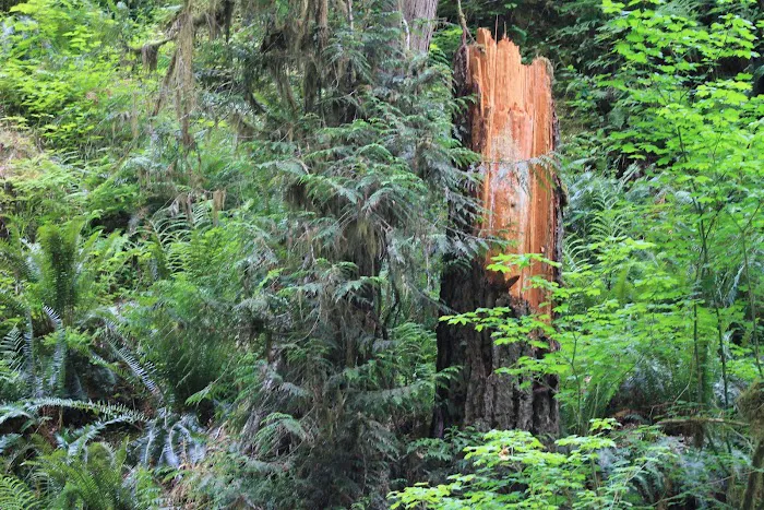 Clear Creek Campground Picture 6
