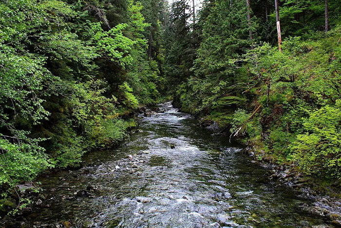 Clear Creek Campground Picture 7