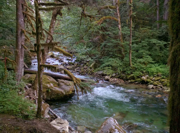 East Side Buck Creek Campground Picture 1