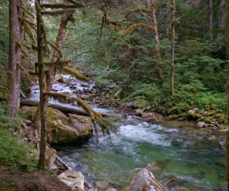 East Side Buck Creek Campground