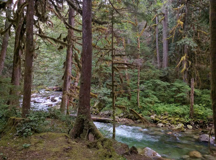 East Side Buck Creek Campground Picture 4